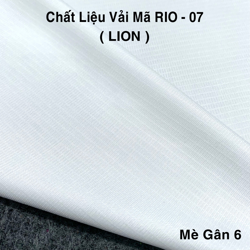 7. RIO - 07 (LION).jpg