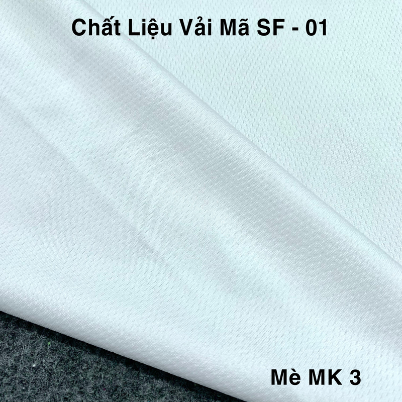 13. SF - 01.jpg